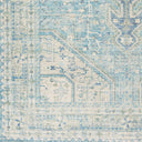 Zainab ZAI-2304 Aqua / Dark Green Rug