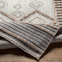 Zaragoza ZRZ-2301 Charcoal / Cream Rug