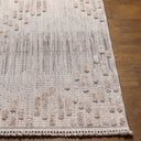 Zaragoza ZRZ-2303 Charcoal / Light Beige Rug