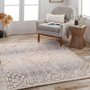 Zaragoza ZRZ-2303 Charcoal / Light Beige Rug
