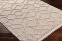 Zaragoza ZRZ-2309 Cream / Light Beige Rug