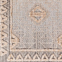 Zaragoza ZRZ-2318 Charcoal / Cream Rug